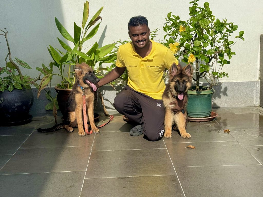 dog trainer malaysia